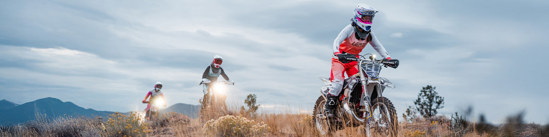 Moto Collection 2026